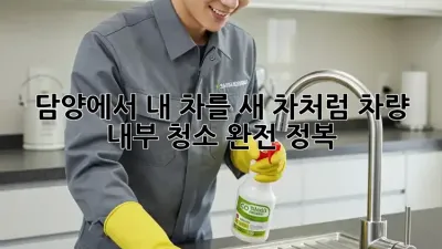 담양에서 내 차를 ✨새 차처럼! #차량 내부 청소🧼 완전 정복!